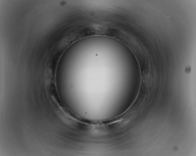 X0000101650752200807101231