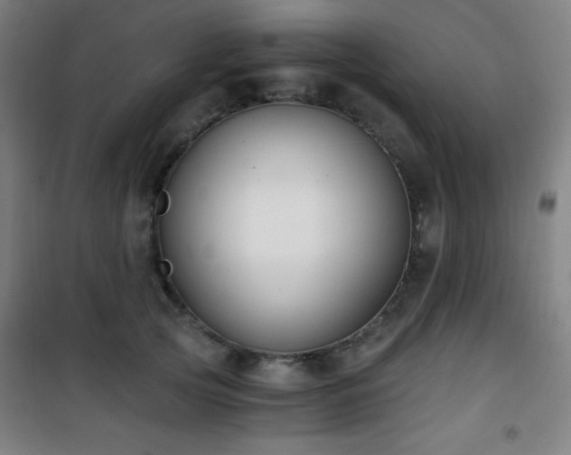 X0000101650753200807101231