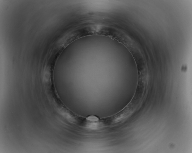 X0000101650754200807101231