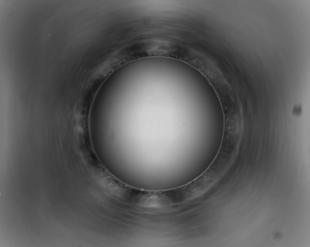 X0000101650755200807101231