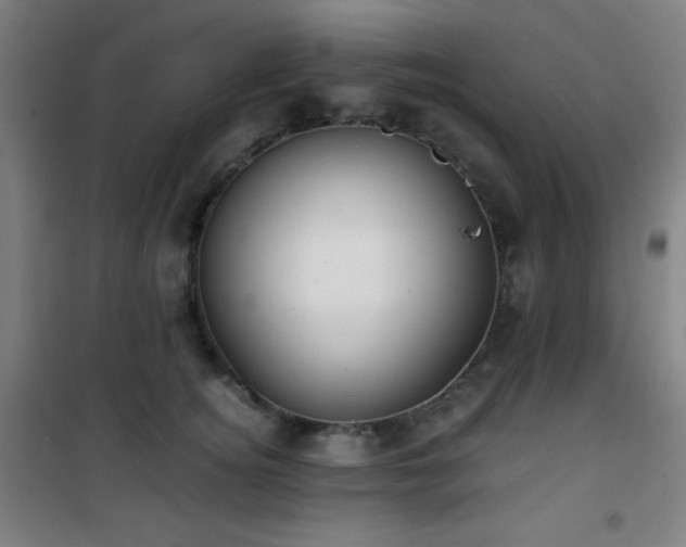 X0000101650756200807101231