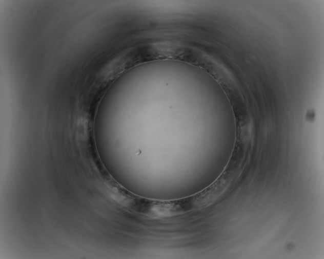 X0000101650757200807101231