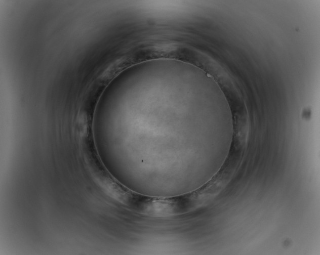 X0000101650758200807101231