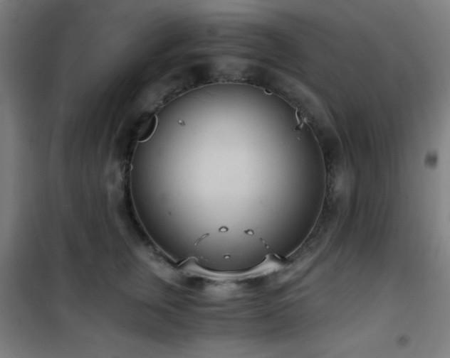 X0000101650759200807101231