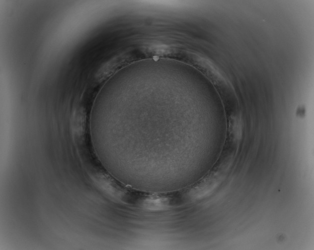 X0000101650760200807101231