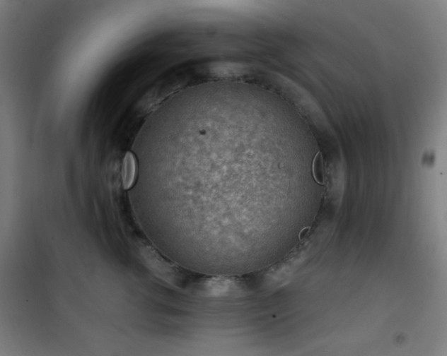 X0000101650762200807101231