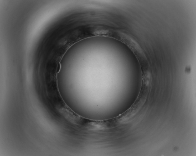 X0000101650763200807101231