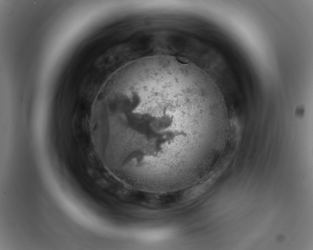 X0000101650765200807101231