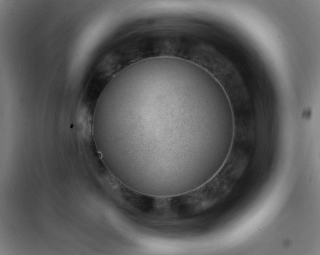 X0000101650766200807101231