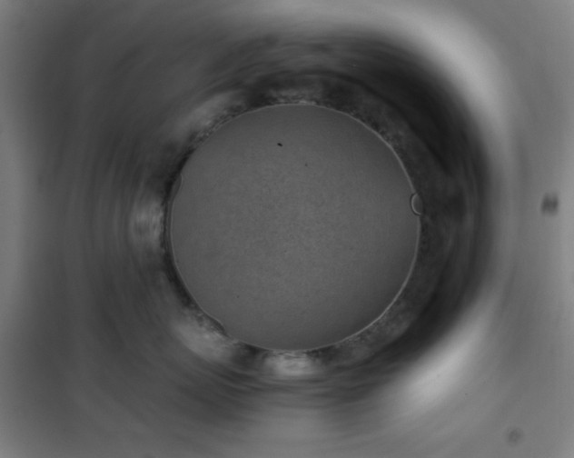 X0000101650767200807101231