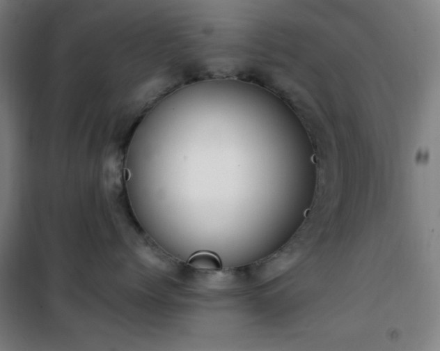 X0000101650768200807101231