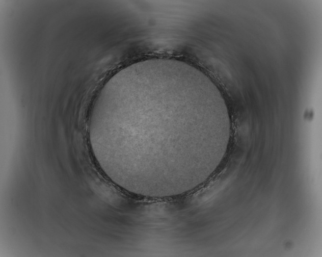 X0000101650769200807101230