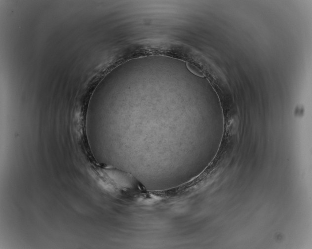 X0000101650772200807101230