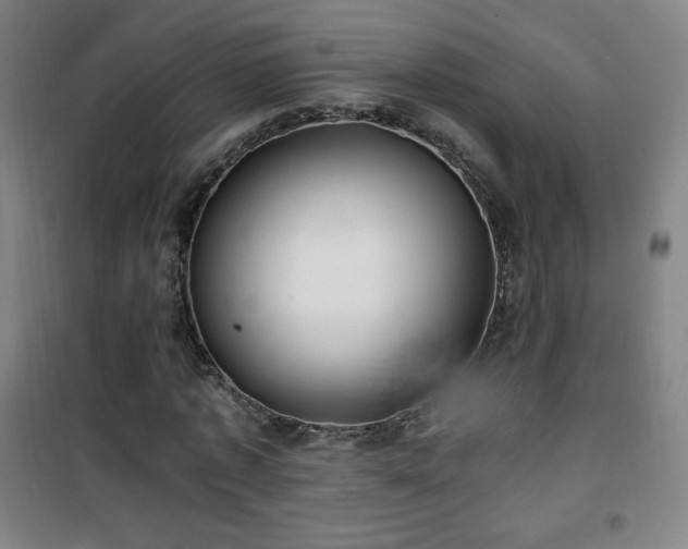 X0000101650773200807101230