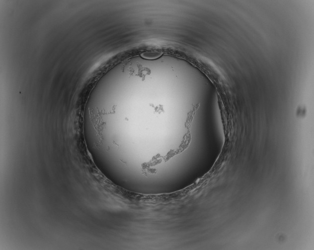 X0000101650776200807101230