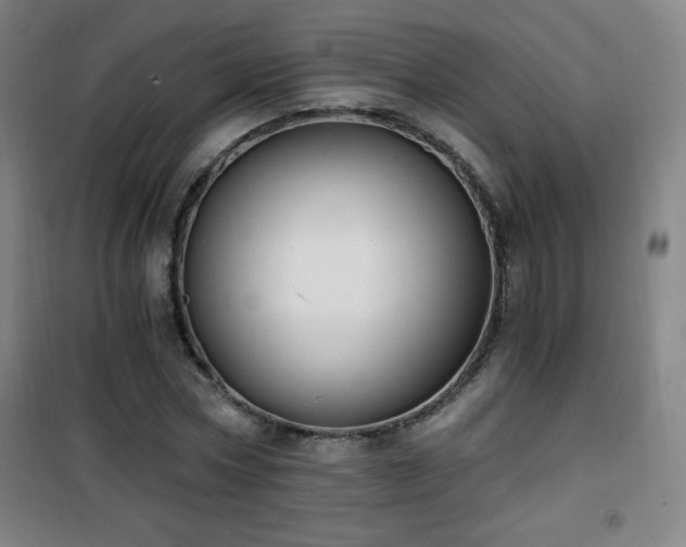 X0000101650778200807101230