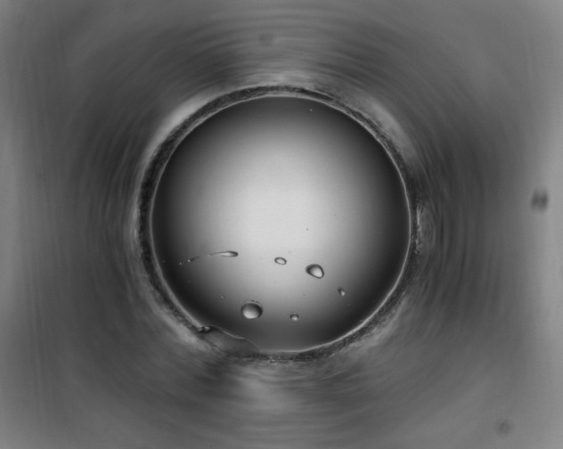 X0000101650780200807101230