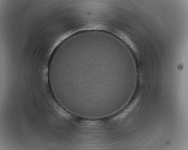 X0000101650781200807101230