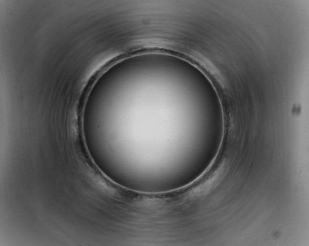 X0000101650782200807101230