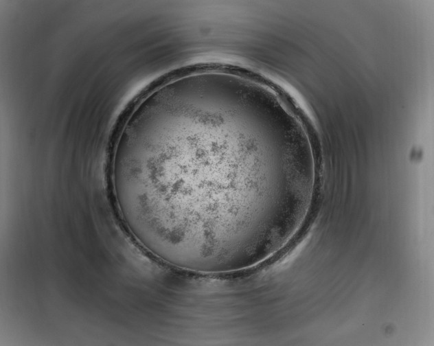 X0000101650783200807101230