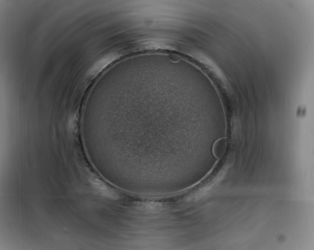 X0000101650785200807101230