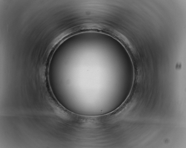 X0000101650786200807101230