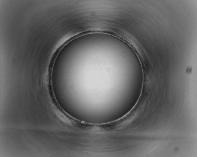 X0000101650787200807101230