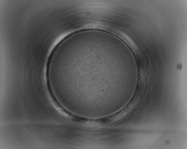 X0000101650788200807101230