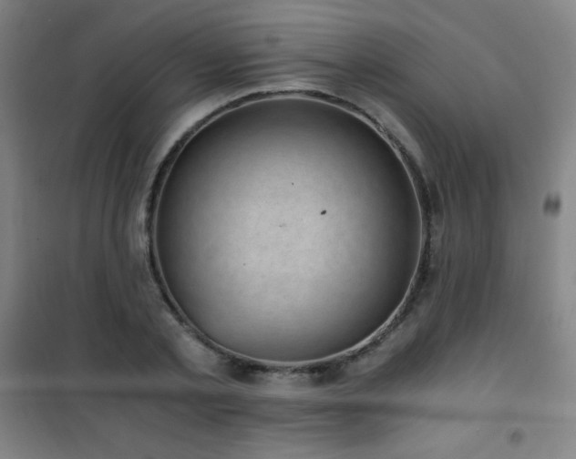 X0000101650789200807101230