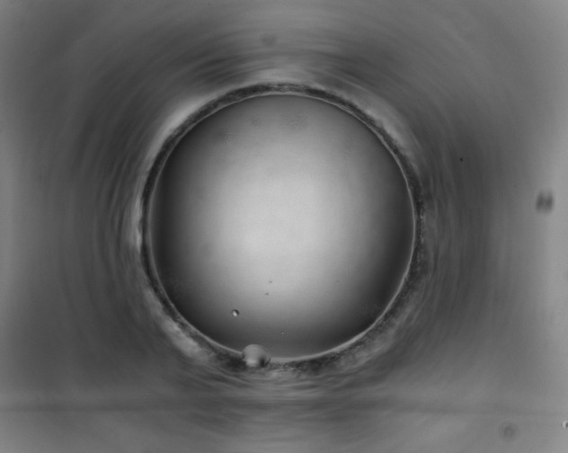 X0000101650791200807101230
