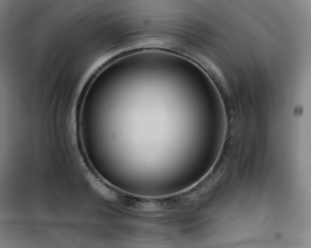 X0000101650792200807101230
