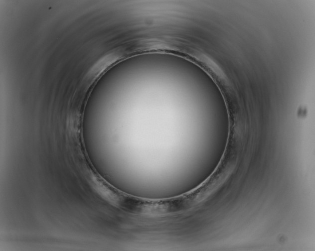 X0000101650793200807101230