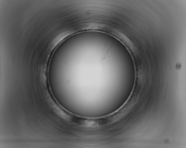 X0000101650794200807101230