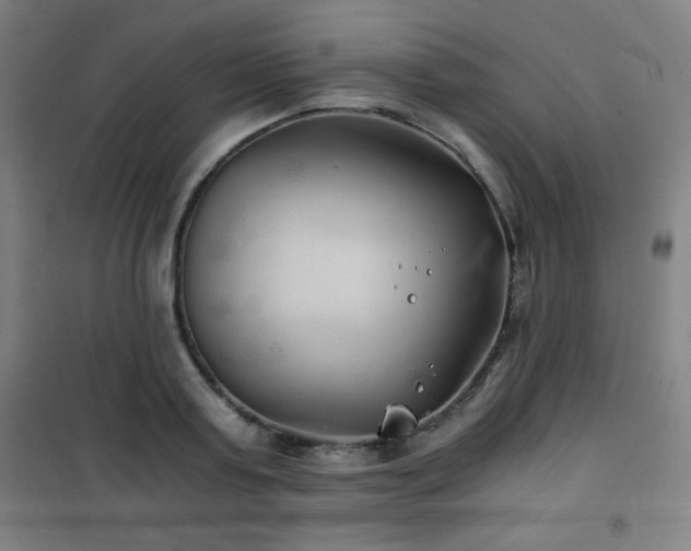 X0000101650795200807101230
