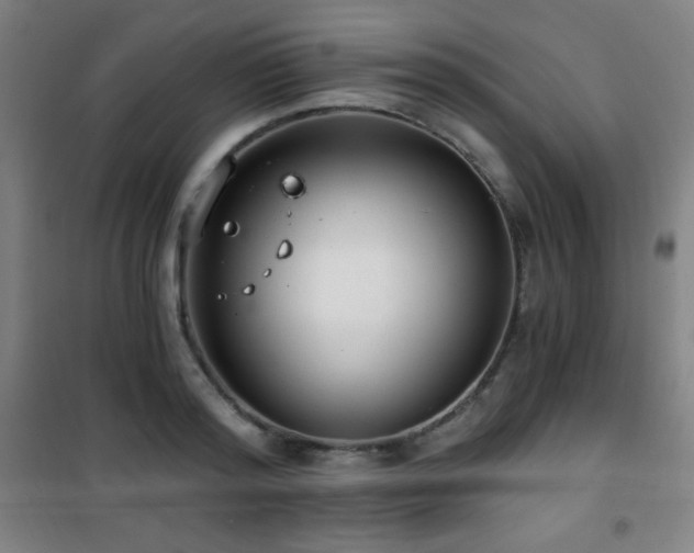 X0000101650796200807101230