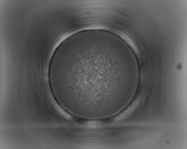 X0000101650797200807101230