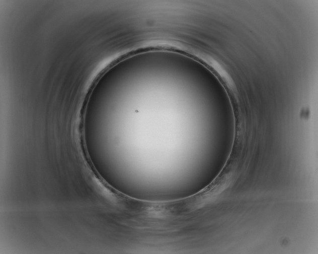 X0000101650799200807101230