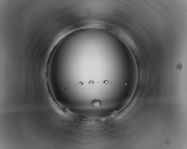 X0000101650800200807101230