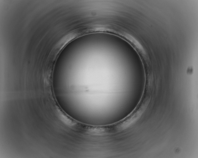 X0000101650801200807101230