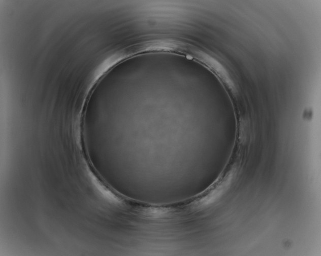 X0000101650802200807101230