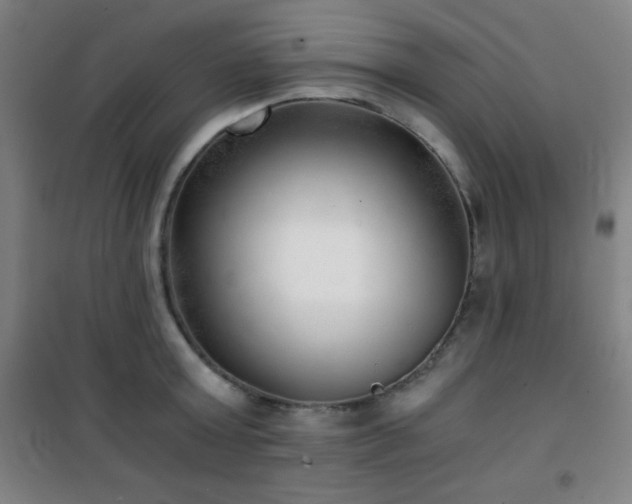 X0000101650803200807101230