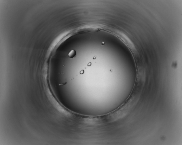 X0000101650804200807101230