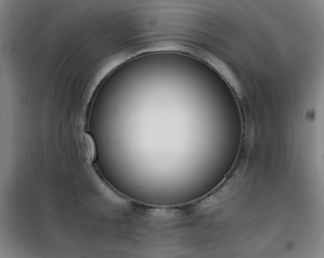 X0000101650805200807101230