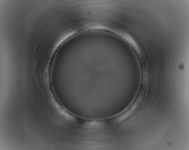 X0000101650806200807101230