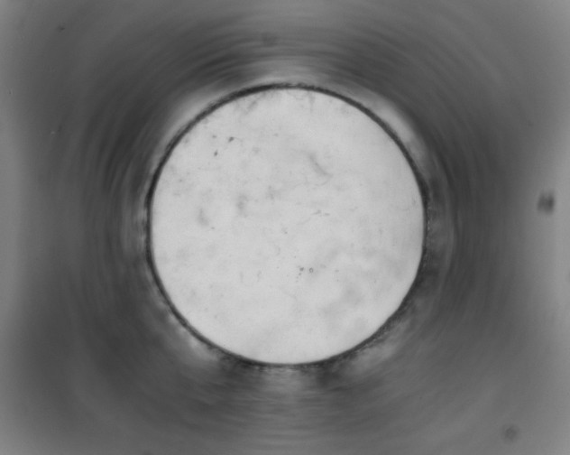 X0000101650807200807101230