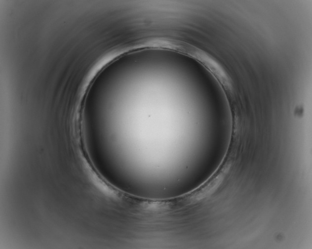 X0000101650808200807101230