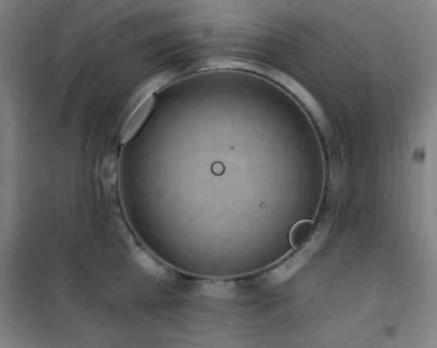 X0000101650809200807101230