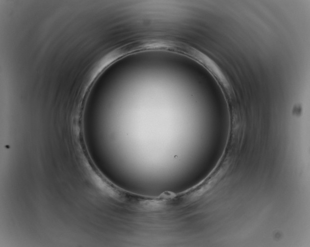 X0000101650810200807101230