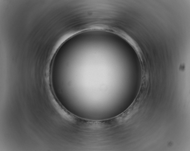 X0000101650811200807101230