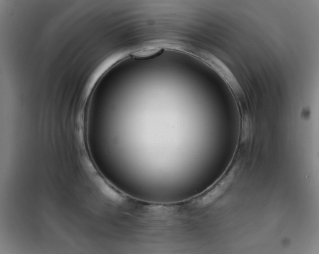 X0000101650812200807101230